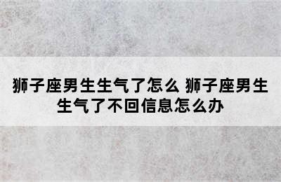 狮子座男生生气了怎么 狮子座男生生气了不回信息怎么办